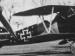 Albatros D.Va OAW 6633/17 - Jasta 78b (Greg VanWyngarden)